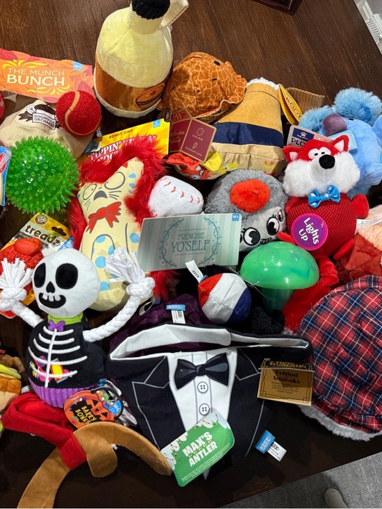 Barkbox Other - Lot of 21 Barkbox Toys